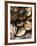 Plate of Oysters, France-Per Karlsson-Framed Photographic Print