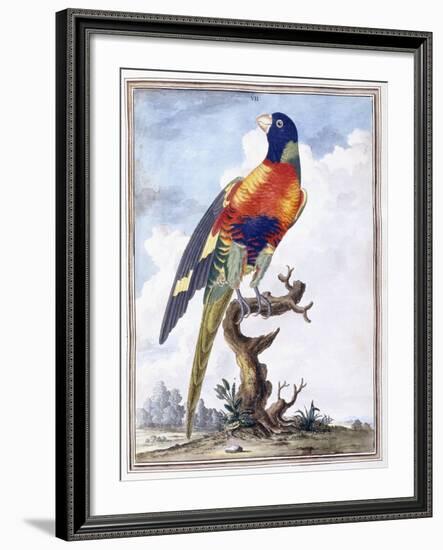 Plate VII-Peter Brown-Framed Giclee Print