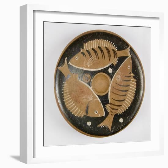 Plate with Fish Design--Framed Giclee Print