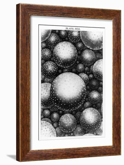 Plate XXXI from the "Original Theory of the Universe" by Thomas Wright, 1750-null-Framed Giclee Print