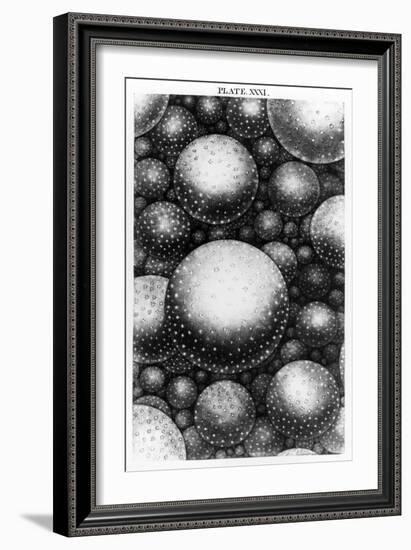 Plate XXXI from the "Original Theory of the Universe" by Thomas Wright, 1750-null-Framed Giclee Print