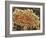 Platelets In a Blood Clot-Steve Gschmeissner-Framed Photographic Print