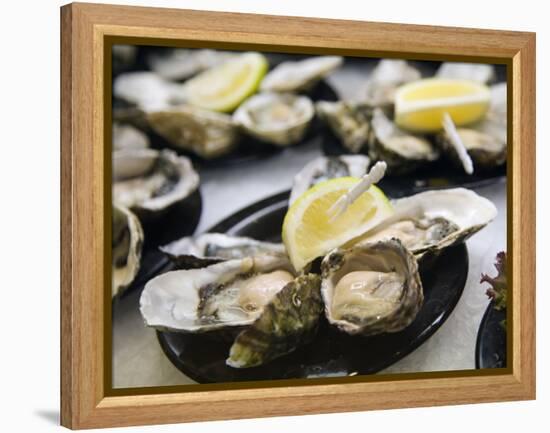 Plates of Fresh Oysters, Sydney's Fish Market at Pyrmont, Sydney, Australia-Andrew Watson-Framed Premier Image Canvas