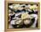 Plates of Fresh Oysters, Sydney's Fish Market at Pyrmont, Sydney, Australia-Andrew Watson-Framed Premier Image Canvas