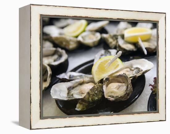 Plates of Fresh Oysters, Sydney's Fish Market at Pyrmont, Sydney, Australia-Andrew Watson-Framed Premier Image Canvas