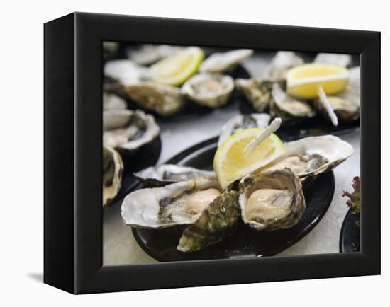 Plates of Fresh Oysters, Sydney's Fish Market at Pyrmont, Sydney, Australia-Andrew Watson-Framed Premier Image Canvas