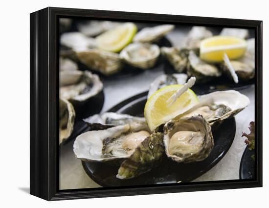 Plates of Fresh Oysters, Sydney's Fish Market at Pyrmont, Sydney, Australia-Andrew Watson-Framed Premier Image Canvas