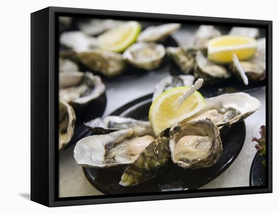 Plates of Fresh Oysters, Sydney's Fish Market at Pyrmont, Sydney, Australia-Andrew Watson-Framed Premier Image Canvas