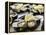 Plates of Fresh Oysters, Sydney's Fish Market at Pyrmont, Sydney, Australia-Andrew Watson-Framed Premier Image Canvas