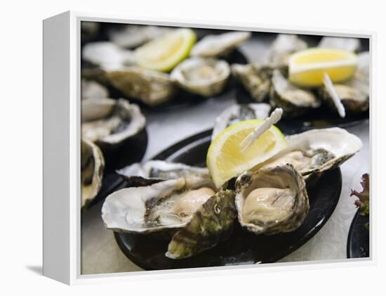 Plates of Fresh Oysters, Sydney's Fish Market at Pyrmont, Sydney, Australia-Andrew Watson-Framed Premier Image Canvas