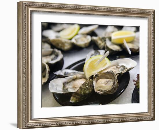 Plates of Fresh Oysters, Sydney's Fish Market at Pyrmont, Sydney, Australia-Andrew Watson-Framed Photographic Print