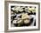 Plates of Fresh Oysters, Sydney's Fish Market at Pyrmont, Sydney, Australia-Andrew Watson-Framed Photographic Print