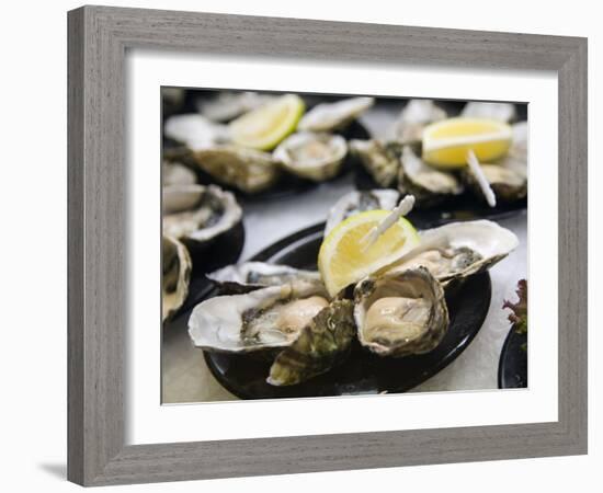 Plates of Fresh Oysters, Sydney's Fish Market at Pyrmont, Sydney, Australia-Andrew Watson-Framed Photographic Print