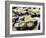 Plates of Fresh Oysters, Sydney's Fish Market at Pyrmont, Sydney, Australia-Andrew Watson-Framed Photographic Print