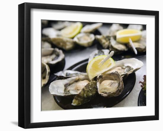 Plates of Fresh Oysters, Sydney's Fish Market at Pyrmont, Sydney, Australia-Andrew Watson-Framed Photographic Print