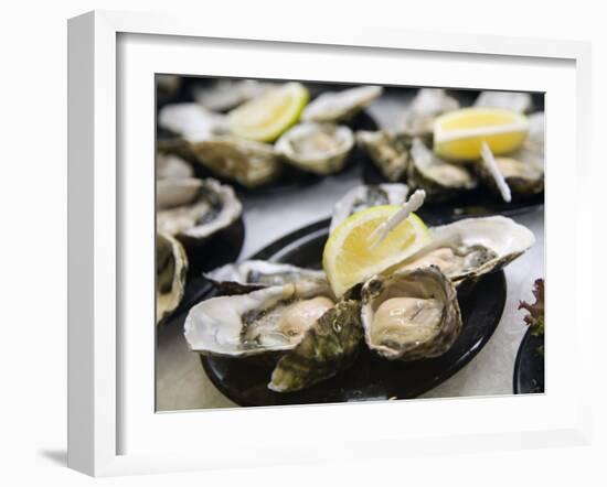 Plates of Fresh Oysters, Sydney's Fish Market at Pyrmont, Sydney, Australia-Andrew Watson-Framed Photographic Print