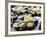 Plates of Fresh Oysters, Sydney's Fish Market at Pyrmont, Sydney, Australia-Andrew Watson-Framed Photographic Print