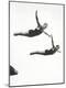Premium Photographic Print