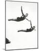 Platform Diving at the Berlin Olympic Games, 1936-null-Mounted Photographic Print