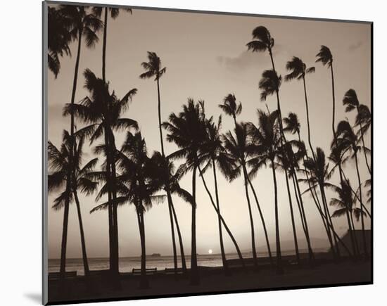 Platinum Palms I-Michael Neubauer-Mounted Giclee Print