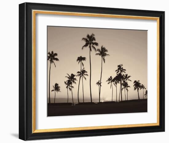 Platinum Palms II-Michael Neubauer-Framed Giclee Print