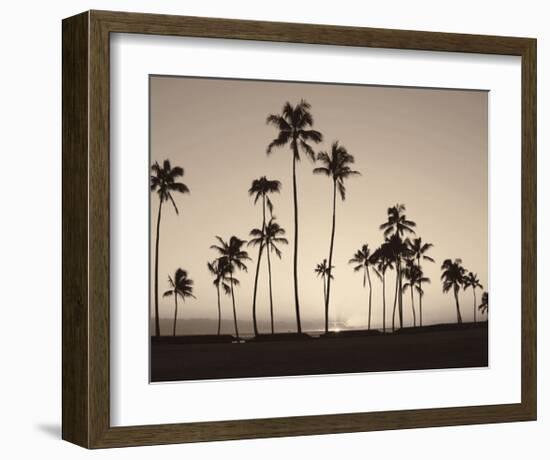 Platinum Palms II-Michael Neubauer-Framed Giclee Print