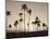 Platinum Palms II-Michael Neubauer-Mounted Giclee Print