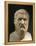 Plato, 428-348 BC, Greek philosopher, Marble Bust-null-Framed Premier Image Canvas