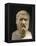 Plato, 428-348 BC, Greek philosopher, Marble Bust-null-Framed Premier Image Canvas