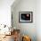 Plato, Proposed Extrasolar Planet Mission-null-Framed Photographic Print displayed on a wall