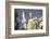 Plato Statue outside the Hellenic Academy-Jon Hicks-Framed Photographic Print