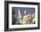 Plato Statue outside the Hellenic Academy-Jon Hicks-Framed Photographic Print