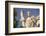 Plato Statue outside the Hellenic Academy-Jon Hicks-Framed Photographic Print