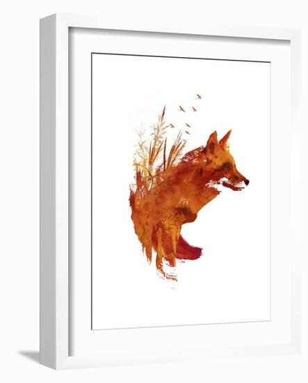 Plattensee Fox-Robert Farkas-Framed Giclee Print