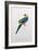 Platycercus Pileatus, Vig., C.1831-Edward Lear-Framed Giclee Print