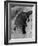 Platypus-null-Framed Photographic Print