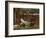 Plauderei (Gossip). Um 1885-John William Waterhouse-Framed Giclee Print