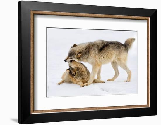 Play Date-Lisa Dearing-Framed Photographic Print