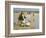 Play in the Surf-Edward Henry Potthast-Framed Giclee Print