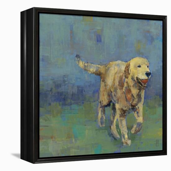 Play Time II-Stacy D'Aguiar-Framed Stretched Canvas