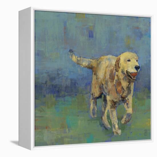 Play Time II-Stacy D'Aguiar-Framed Stretched Canvas