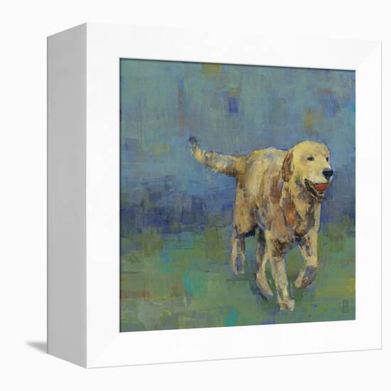 Play Time II-Stacy D'Aguiar-Framed Stretched Canvas