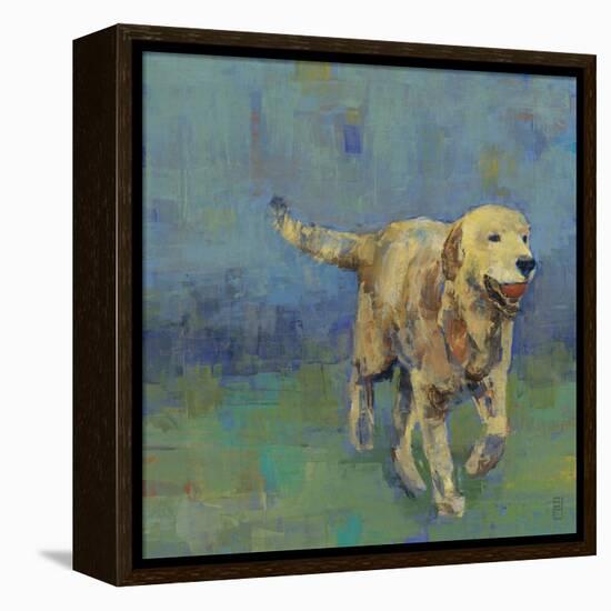 Play Time II-Stacy D'Aguiar-Framed Stretched Canvas