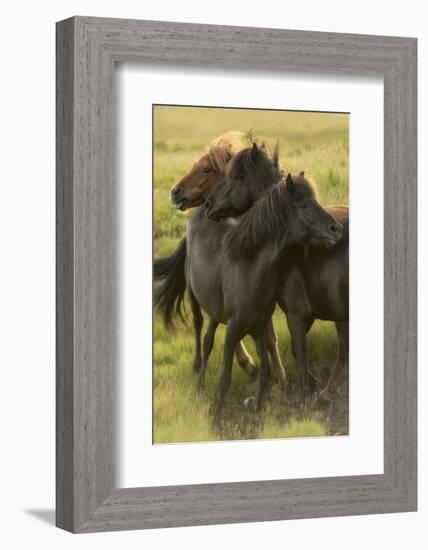 Play Time-Danny Head-Framed Photographic Print