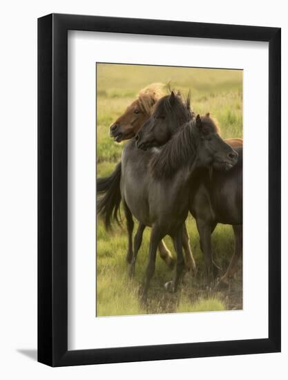 Play Time-Danny Head-Framed Photographic Print