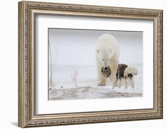 Play With Me-Alessandro Catta-Framed Photographic Print