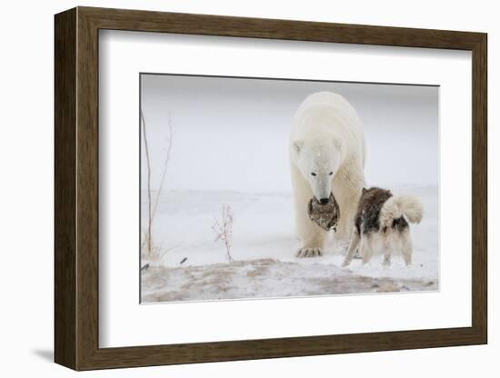 Play With Me-Alessandro Catta-Framed Photographic Print