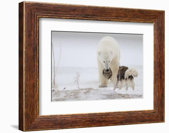 Play With Me-Alessandro Catta-Framed Photographic Print