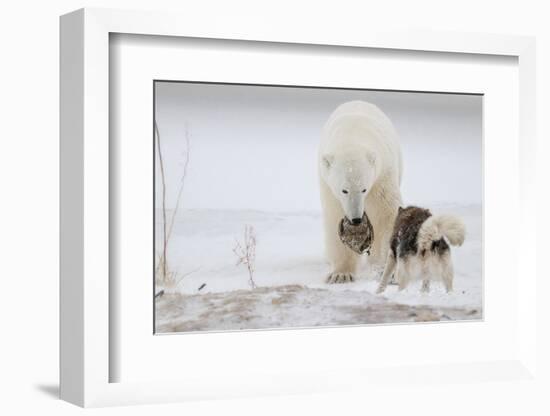 Play With Me-Alessandro Catta-Framed Photographic Print