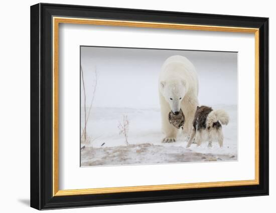 Play With Me-Alessandro Catta-Framed Photographic Print